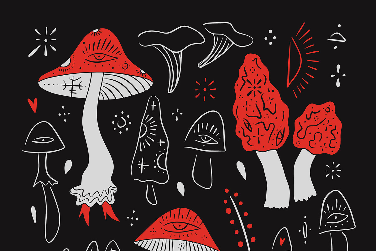 Mushroomcore Bundle, an Object Illustration by Annie Konst (Photo 2 of 16)