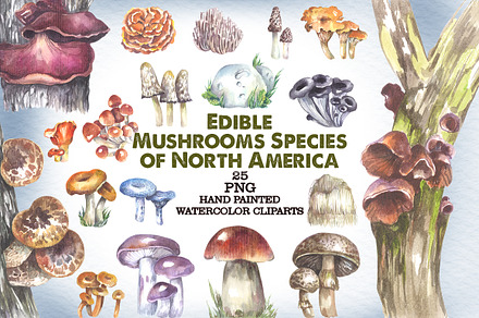 Edible Mushrooms of North America
