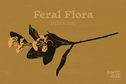 FERAL FLORA Collage Elements, an Object Graphic by angelainthefields (Thumbnail 12 of 12)