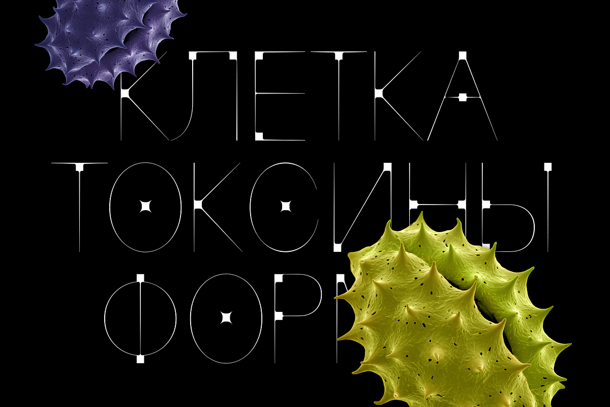 Krays — Extra Thin Accidental Font, a Serif Font by Viktor Pesotsky | Fonts (Photo 14 of 18)