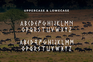 AFRICA VIBES FONT DISPLAY