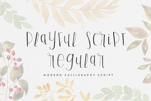 Playful Script Regular