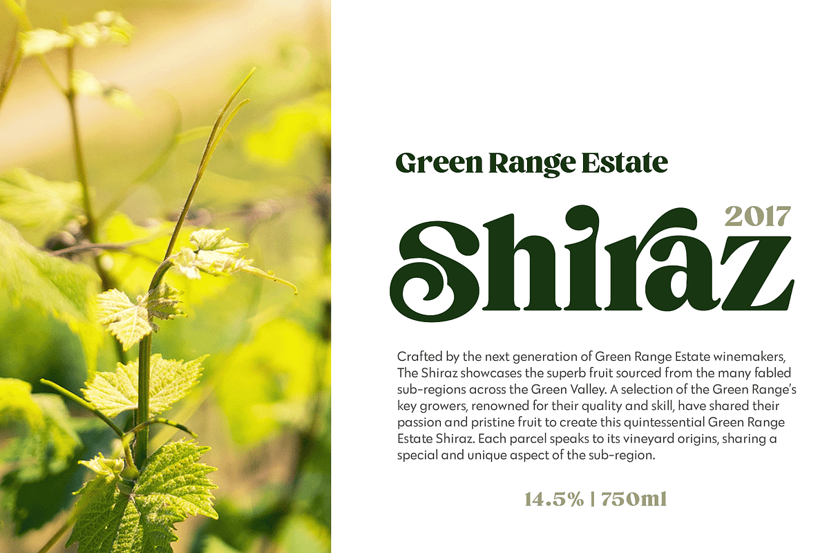 Briston Serif, a Serif Font by Fenotype (Photo 6 of 14)