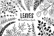 Leaves sketch style set, an Object Graphic by Olly Molly (Thumbnail 1 of 4)