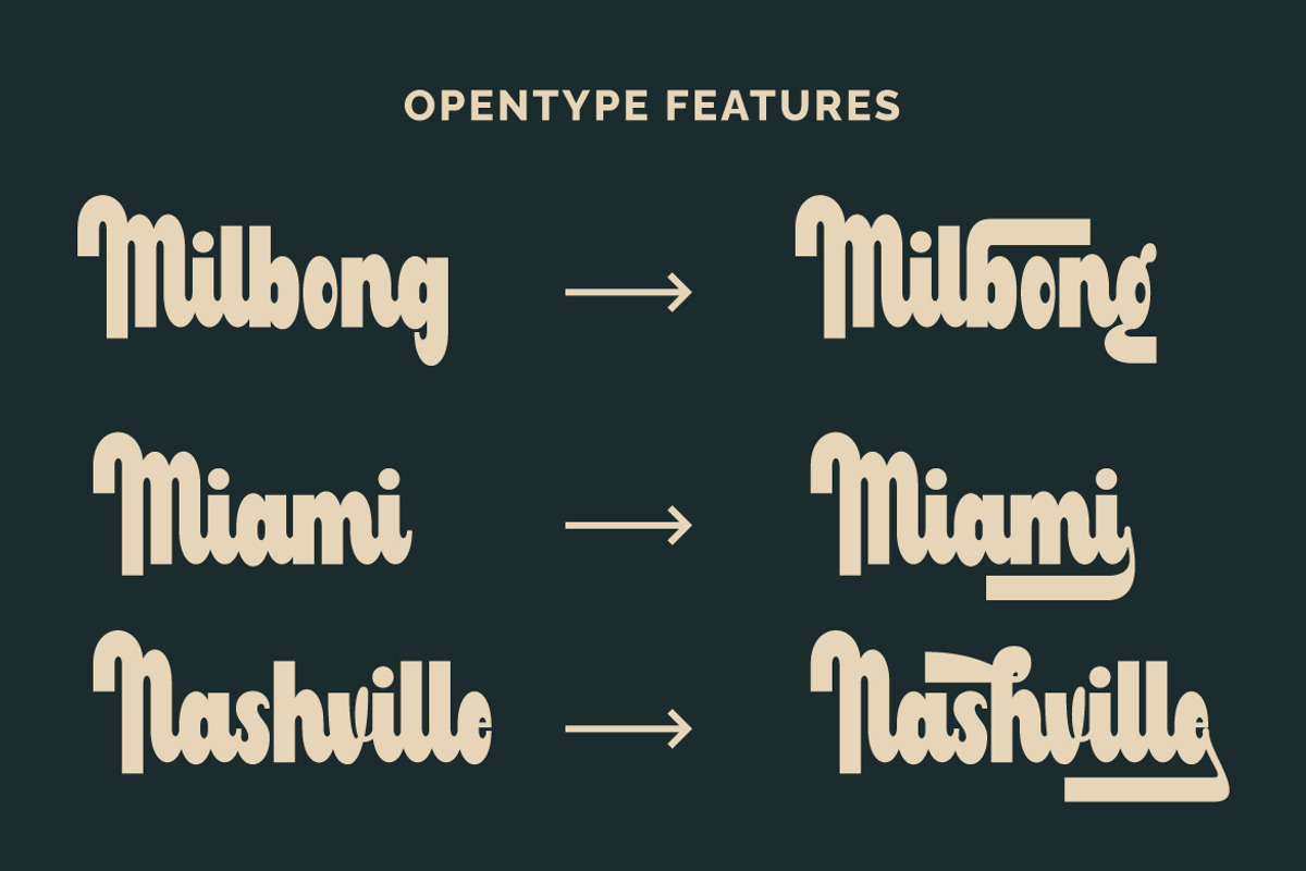 Milbong - a Bold Script, a Script Font by Vava Aryanto (Photo 2 of 8)