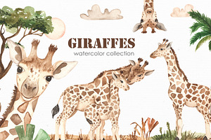 Giraffes. Watercolor Collection