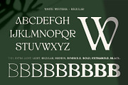 White Wisteria Fonts Family, a Serif Font by Asenbayu (Thumbnail 8 of 13)