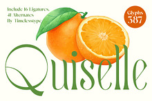 Quiselle Elegant Display Serif