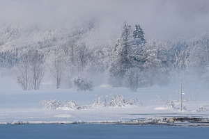 Winter morning in the forest and mountains