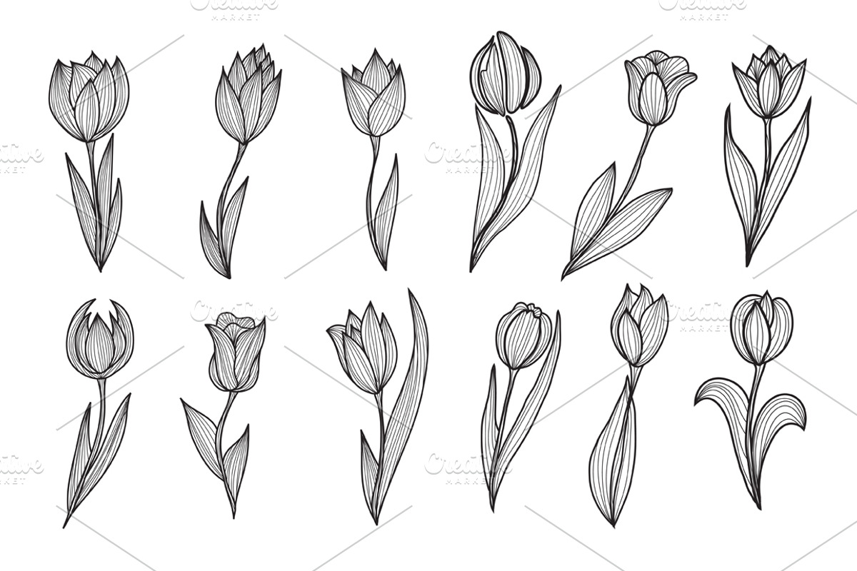 Roses and Tulips Set, an Illustration by Sunset&Sea Design (Photo 3 of 5)