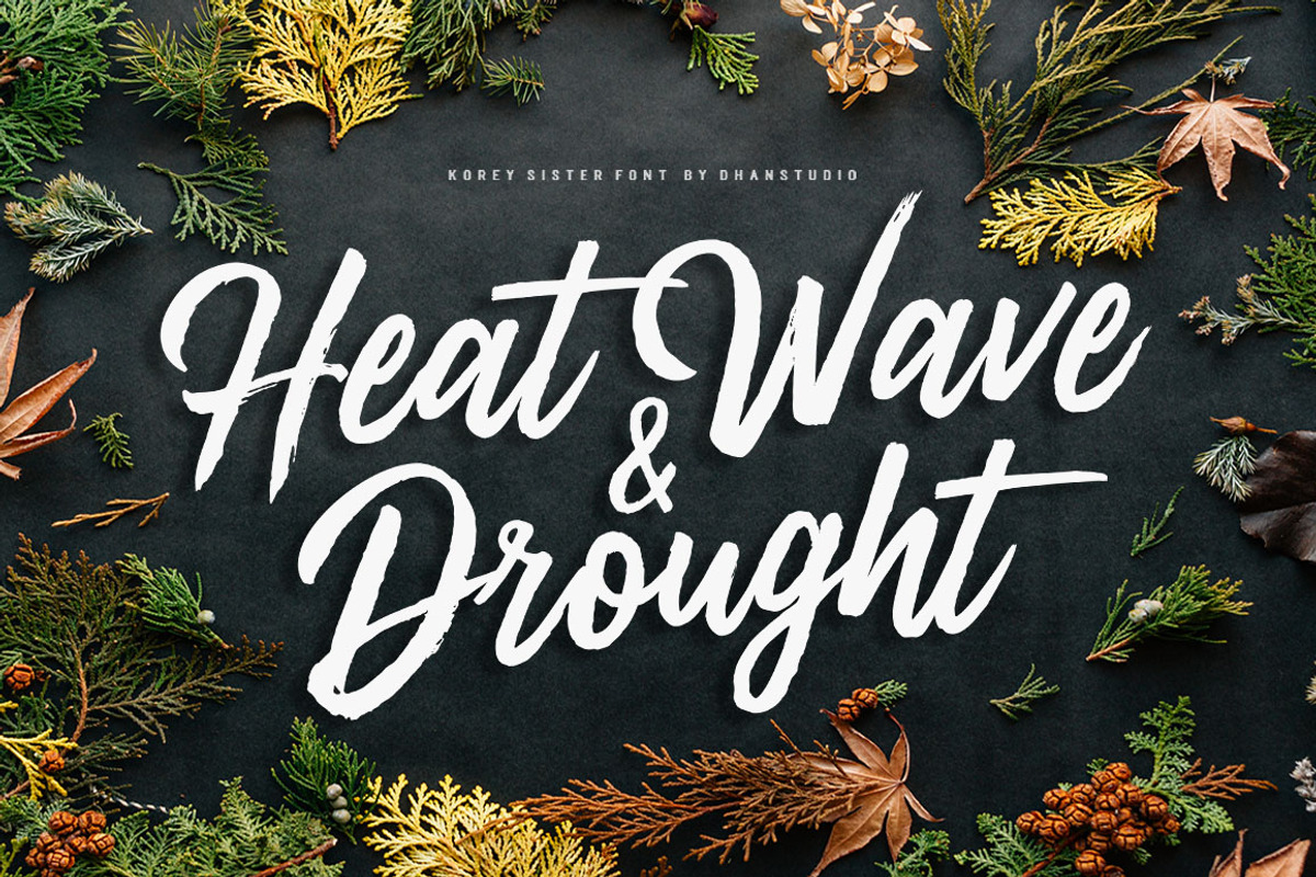 Korey Sister Brush Font preview 3