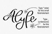 Alyfe, a Script Font by Digital Typeface Studio (Thumbnail 4 of 5)