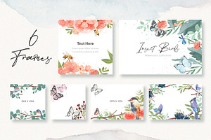 Insects & Birds Watercolor Set