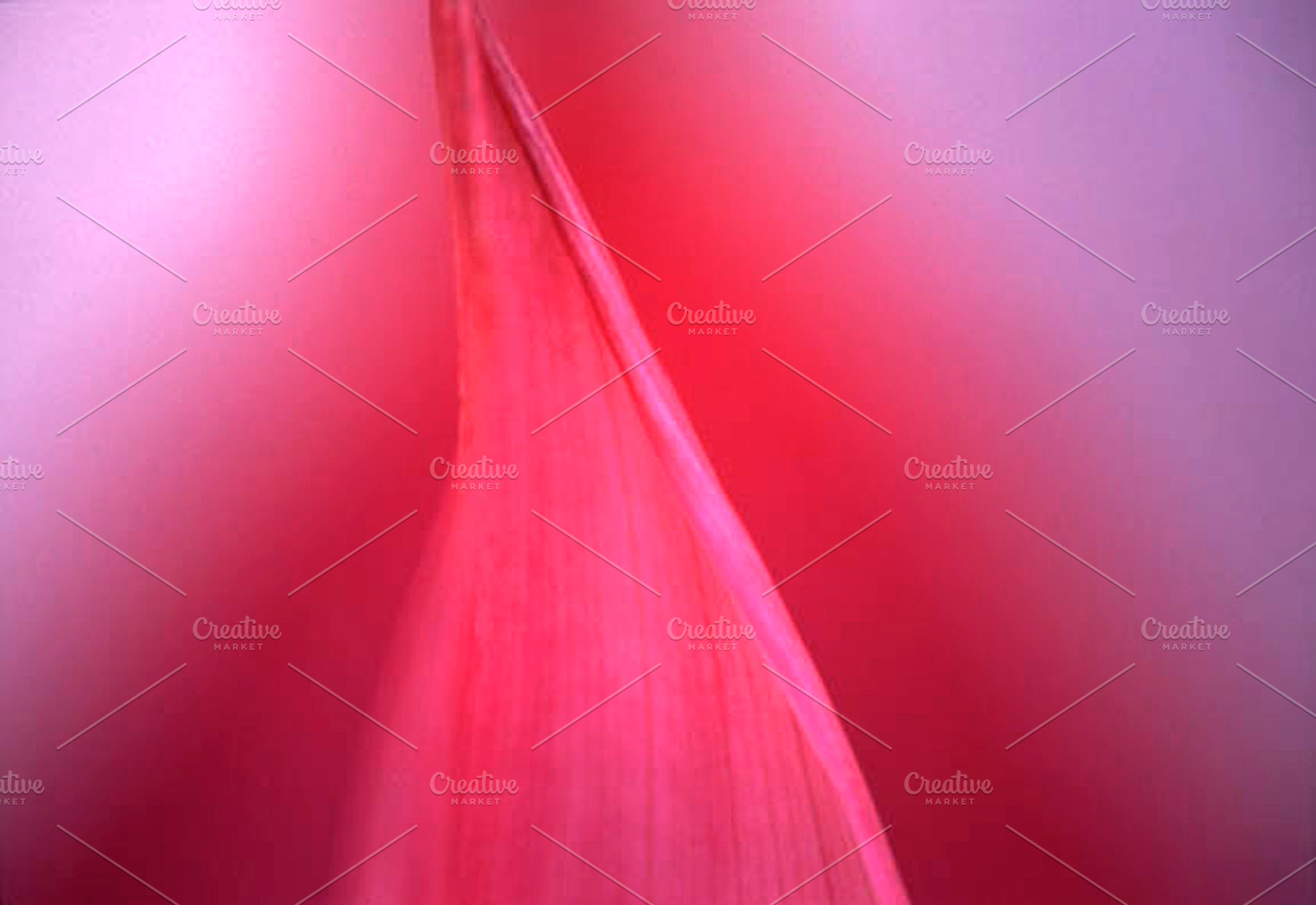 Petal Mediatation