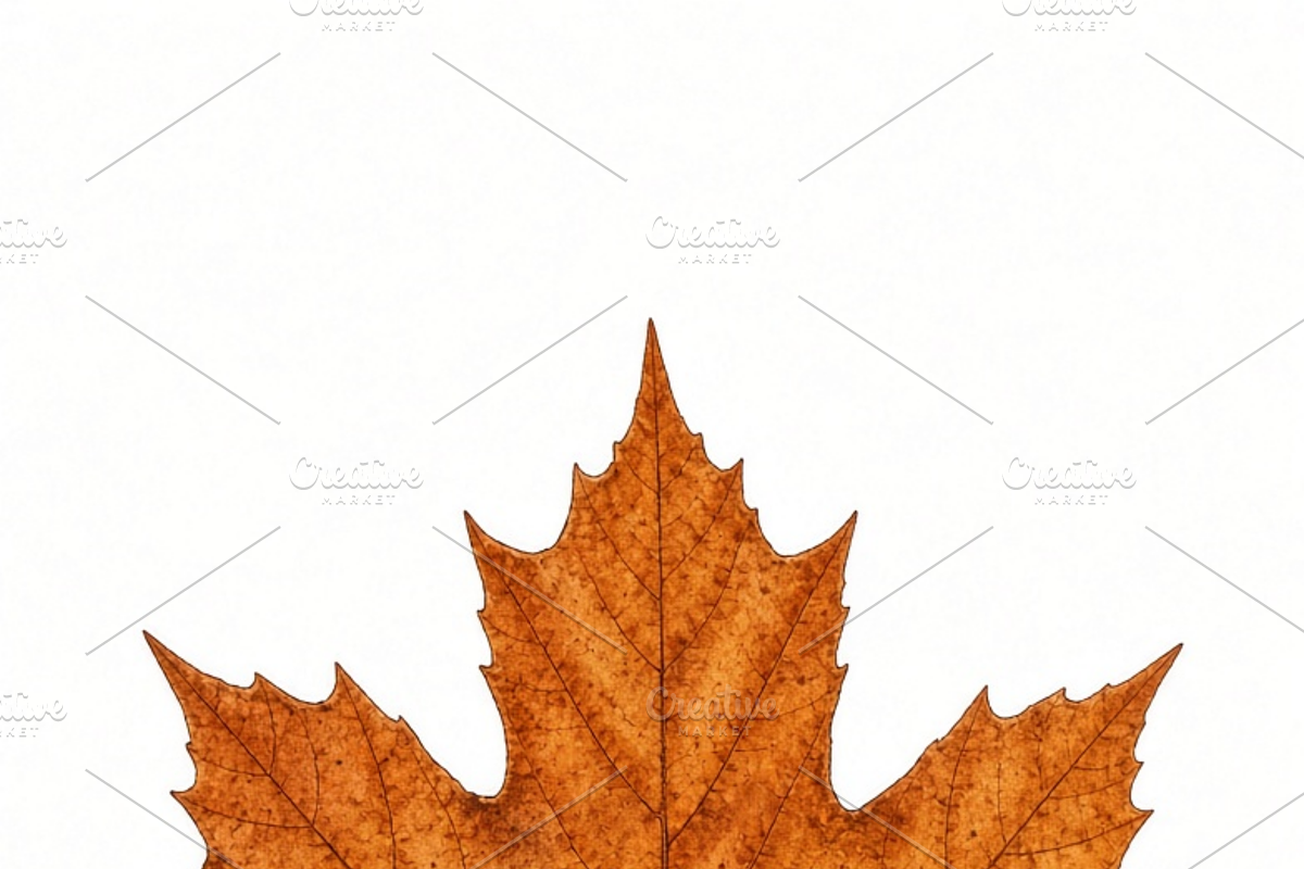 ETARA Autumn Ritual Kit, an Object Graphic by ETARA by Mea Hau (Photo 29 of 64)