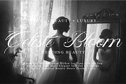 Velouris Script Wedding Calligraphy, a Script Font by Nouric Design (Thumbnail 8 of 11)