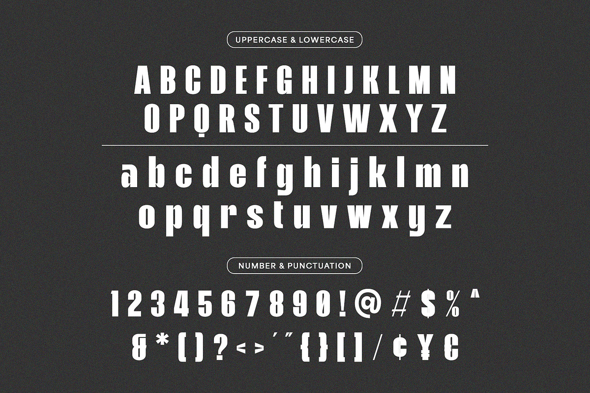 Wighan - Bold & Modern Sans, a Sans Serif Font by Almeera Std (Photo 3 of 6)