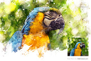 #1 Watercolor Photoshop Mock-ups, an Action Add-On by SlideSalad (Thumbnail 17 of 44)
