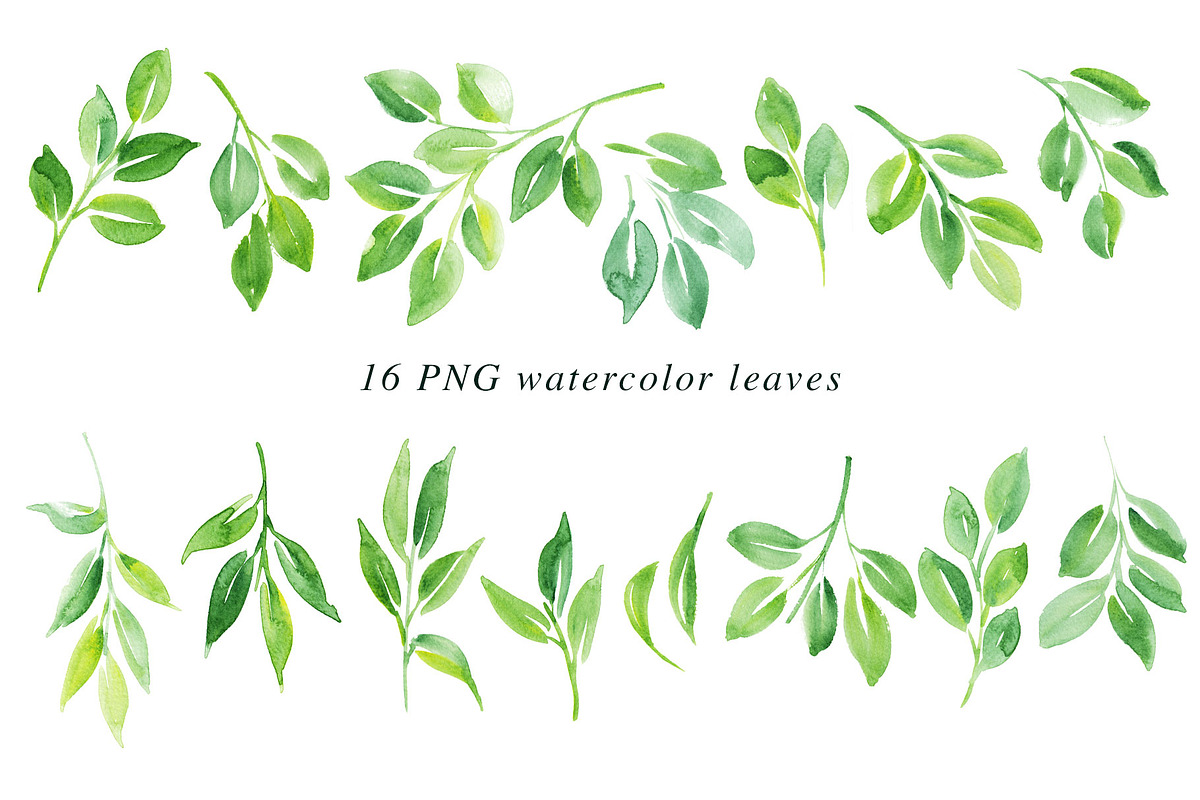 16 Watercolor Leaf PNG Paintings, an Illustration by Heartmade by Claudia (Photo 2 of 2)