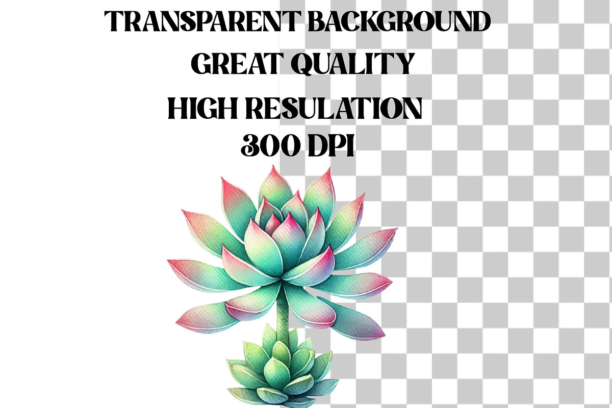 Watercolor Succulent Clipart, an Illustration by Designworld (Photo 6 of 9)