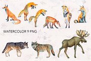 Forest Animals watercolor., an Animal Illustration by lilisavelieva (Thumbnail 3 of 6)