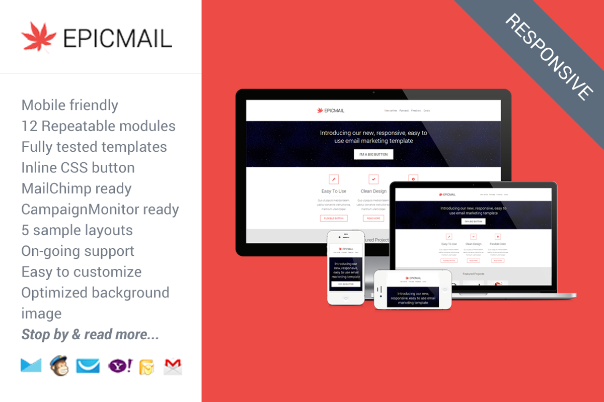 Epicmail, Responsive Email Template, an Email Template by Saputrad