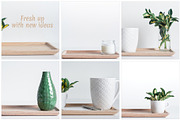 The Green, The White and The Bamboo, an Arts & Entertainment Photo by Sound of Color (Thumbnail 6 of 10)