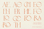Novelty Serif Font, a Serif Font by iStar Design (Thumbnail 12 of 14)