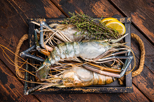 Closeup of raw rosenbergii shrimp prawn showcasing their vibrant, a Food & Drink Photo by composter-box@mail.ru