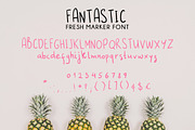 FANTASTIC, a Handwritten Font by BilberryCreates (Thumbnail 5 of 5)