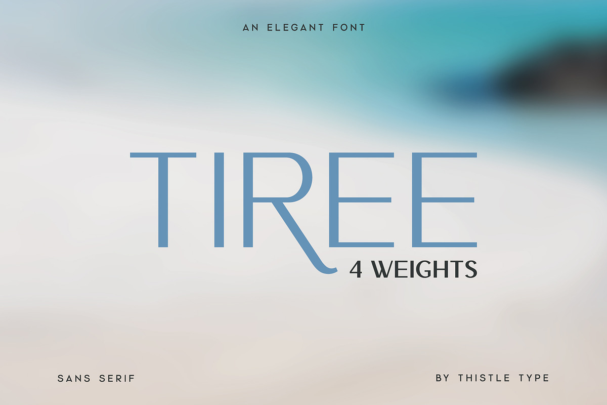 Tiree - An Elegant Sans Serif, a Sans Serif Font by Thistle Type (Photo 1 of 9)