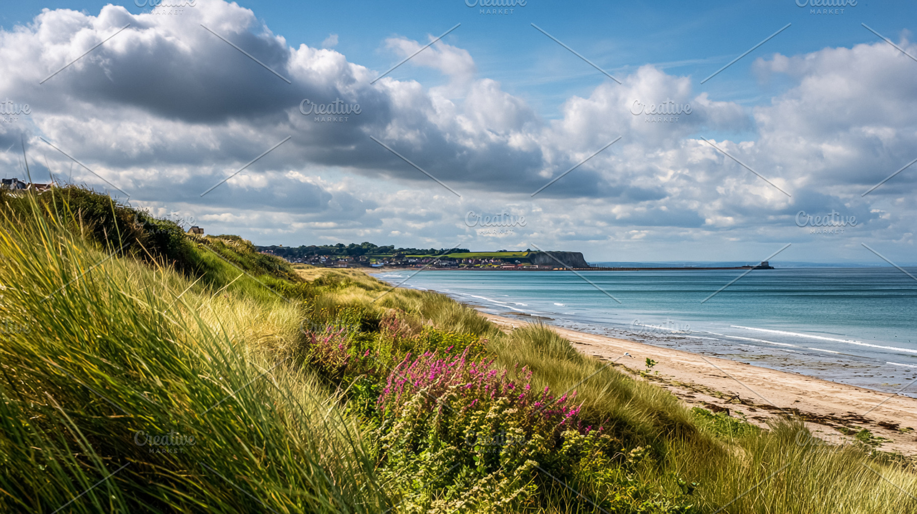 Sandy beach and rolling dunes with lush marram grass, colorful w, a Photo by Studio ANNA