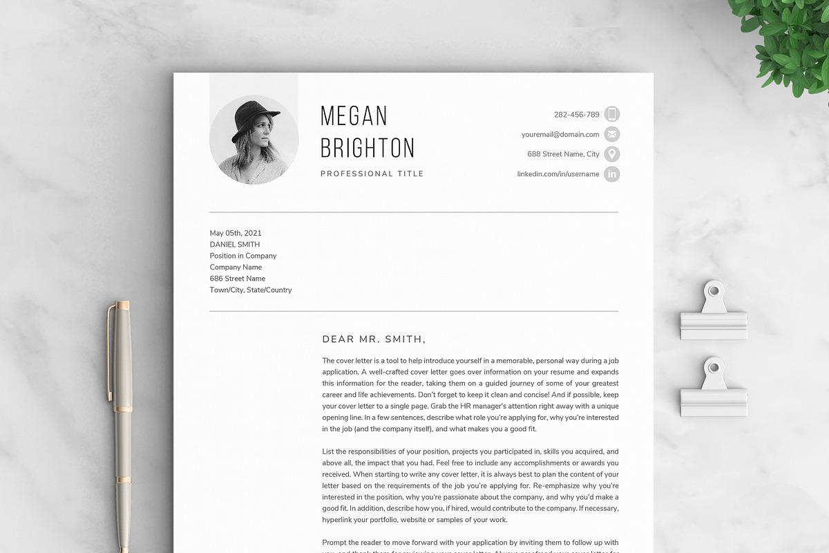 Resume/CV - The Megan preview 5