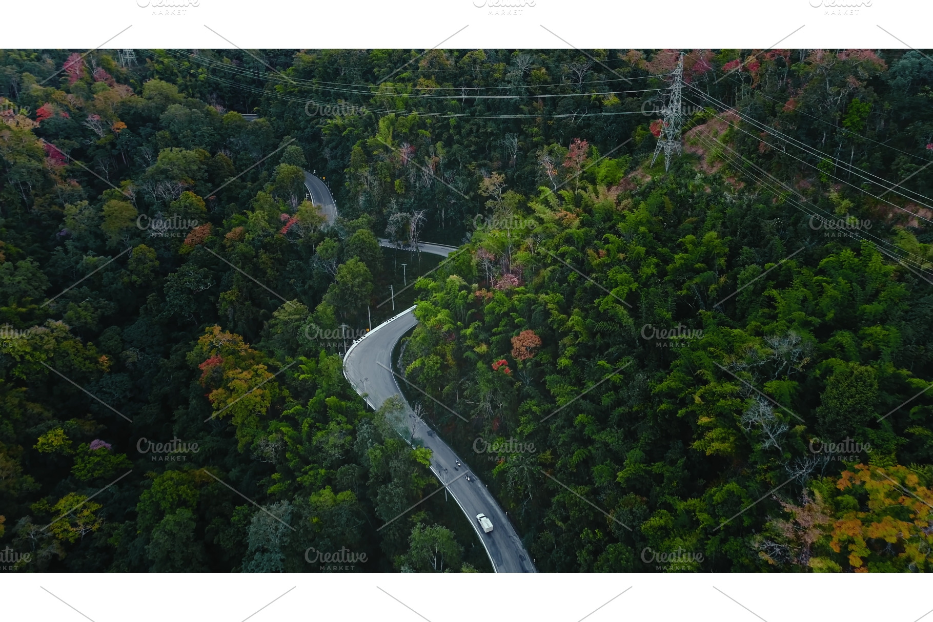 Winding road crossing lush green, a Nature Photo by Goinyk