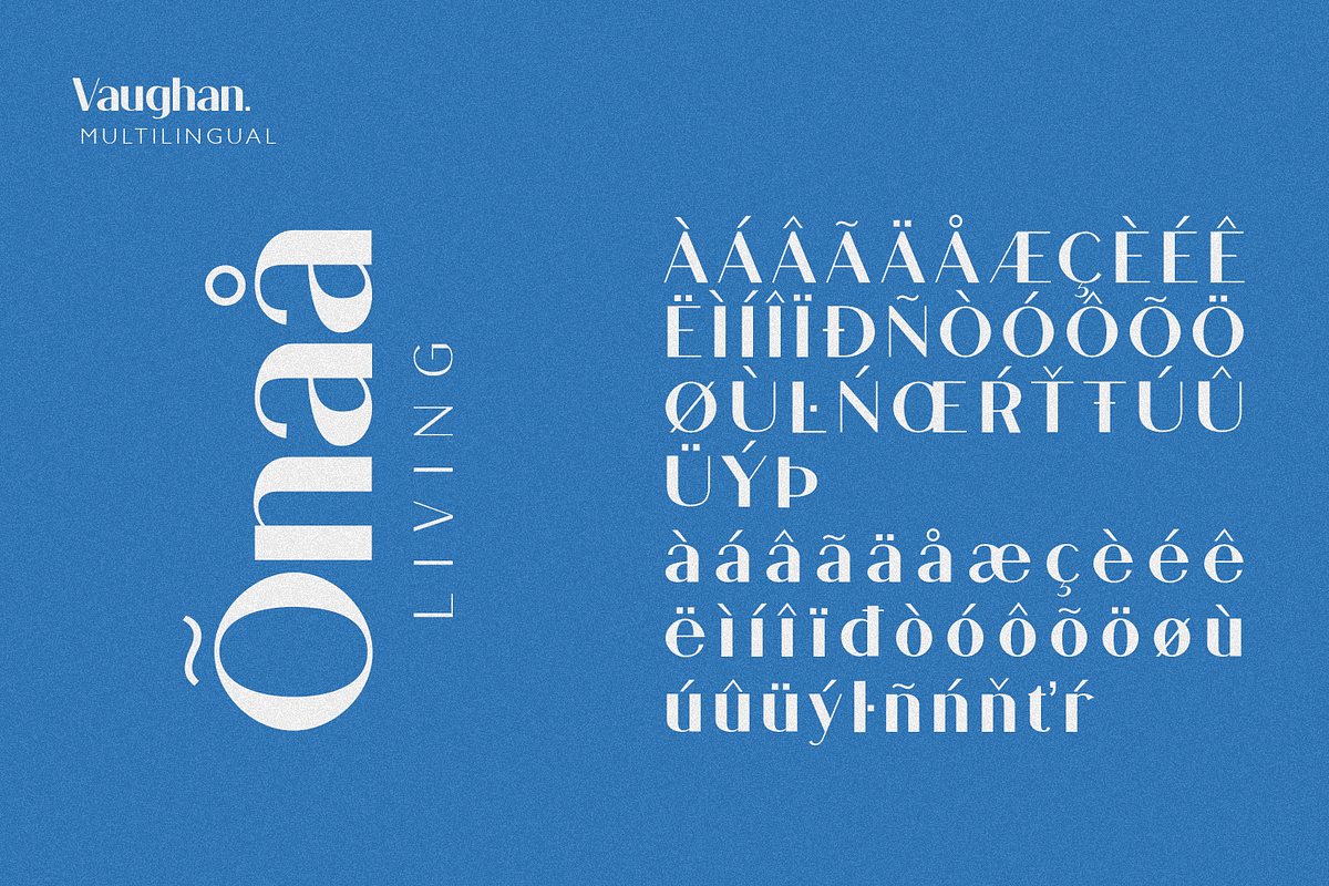 Vaughan Sans, a Sans Serif Font by FactoryType Studio (Photo 11 of 12)