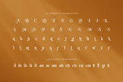 Billan Elegant Serif Font, a Serif Font by Graphicxell (Thumbnail 5 of 6)