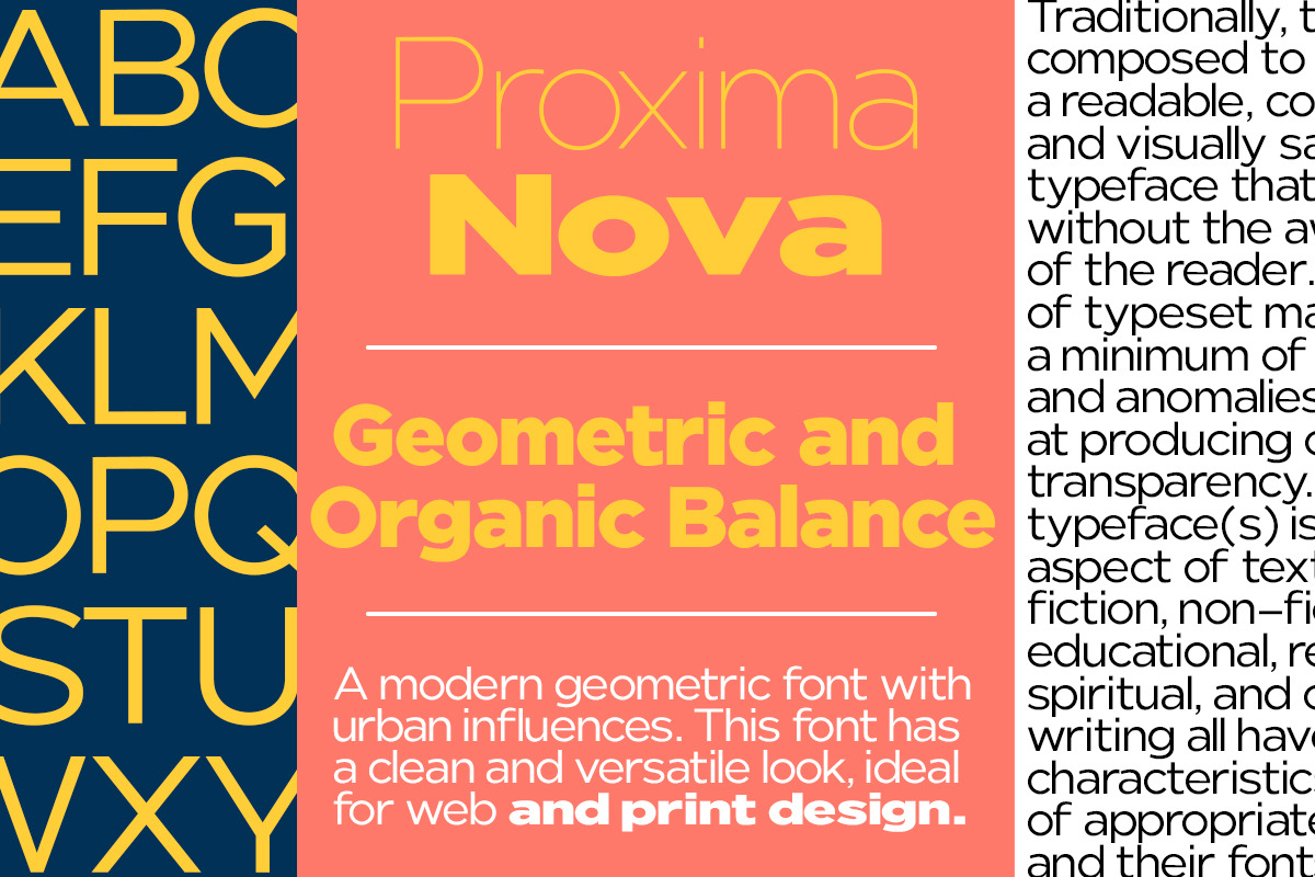 Nunito Flex Pro (54 Font), a Sans Serif Font by Positive TypeFoundry (Photo 3 of 13)