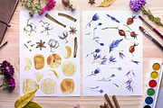 Watercolor Flowers Pack, an Illustration by 2dsight (Thumbnail 3 of 5)