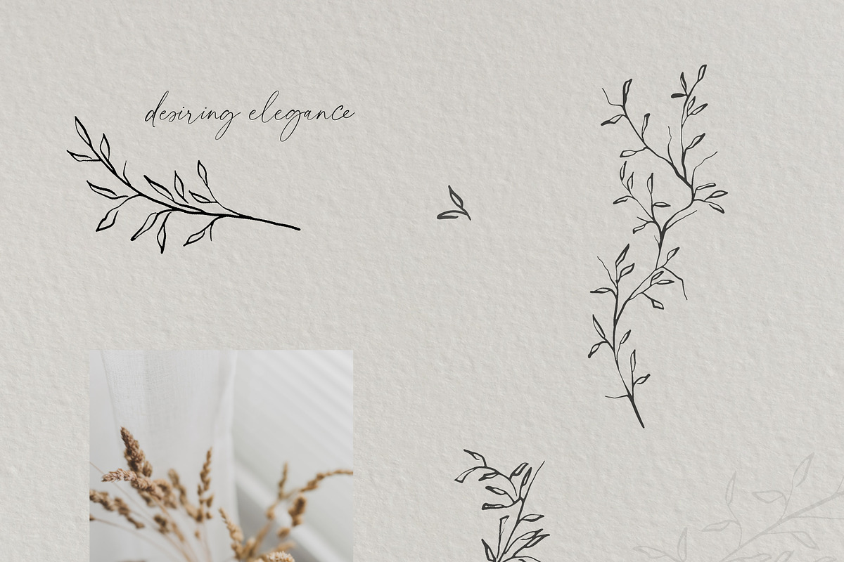 Ardent Elegance - Botanical Set, an Illustration by Backyard Rose (Photo 4 of 13)