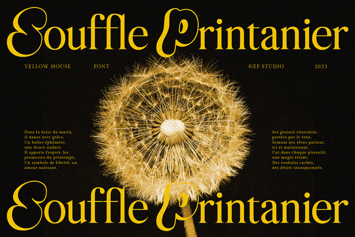 Yellow House | Hybrid Font, a Serif Font by Ef Studio (Photo 11 of 11)