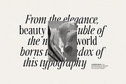 Ophelia - Modern Serif Font, a Serif Font by The Peach Shop (Thumbnail 2 of 16)