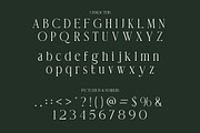 Theorine Modern Condensed Serif Font, a Serif Font by Vadovastd (Thumbnail 2 of 7)