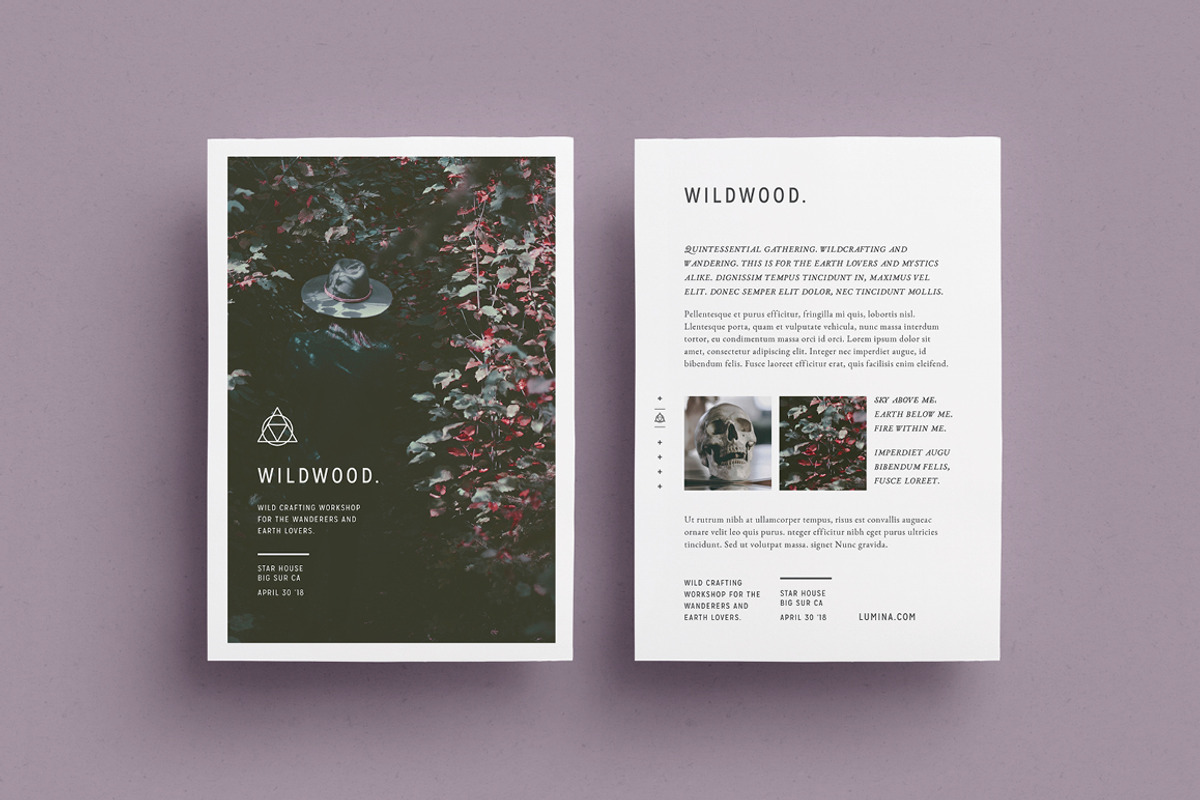 LUMINA Flyer Template, a Flyer Template by 46&2 Collective (Photo 11 of 12)