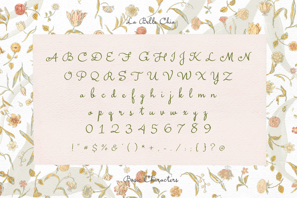 La Belle Chia Handwritten Script, a Handwritten Font by Perplexitics (Photo 10 of 10)