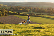 Gingham Lightroom Preset, an Action Add-On by The Bell Sisters (Thumbnail 2 of 11)