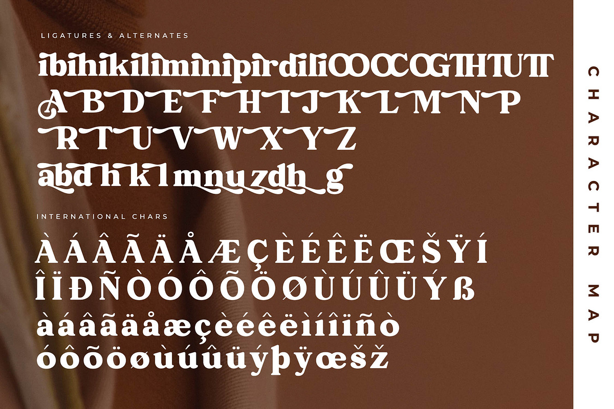 Blastge Modern Retro Serif, a Serif Font by Letterena Studios (Photo 14 of 15)
