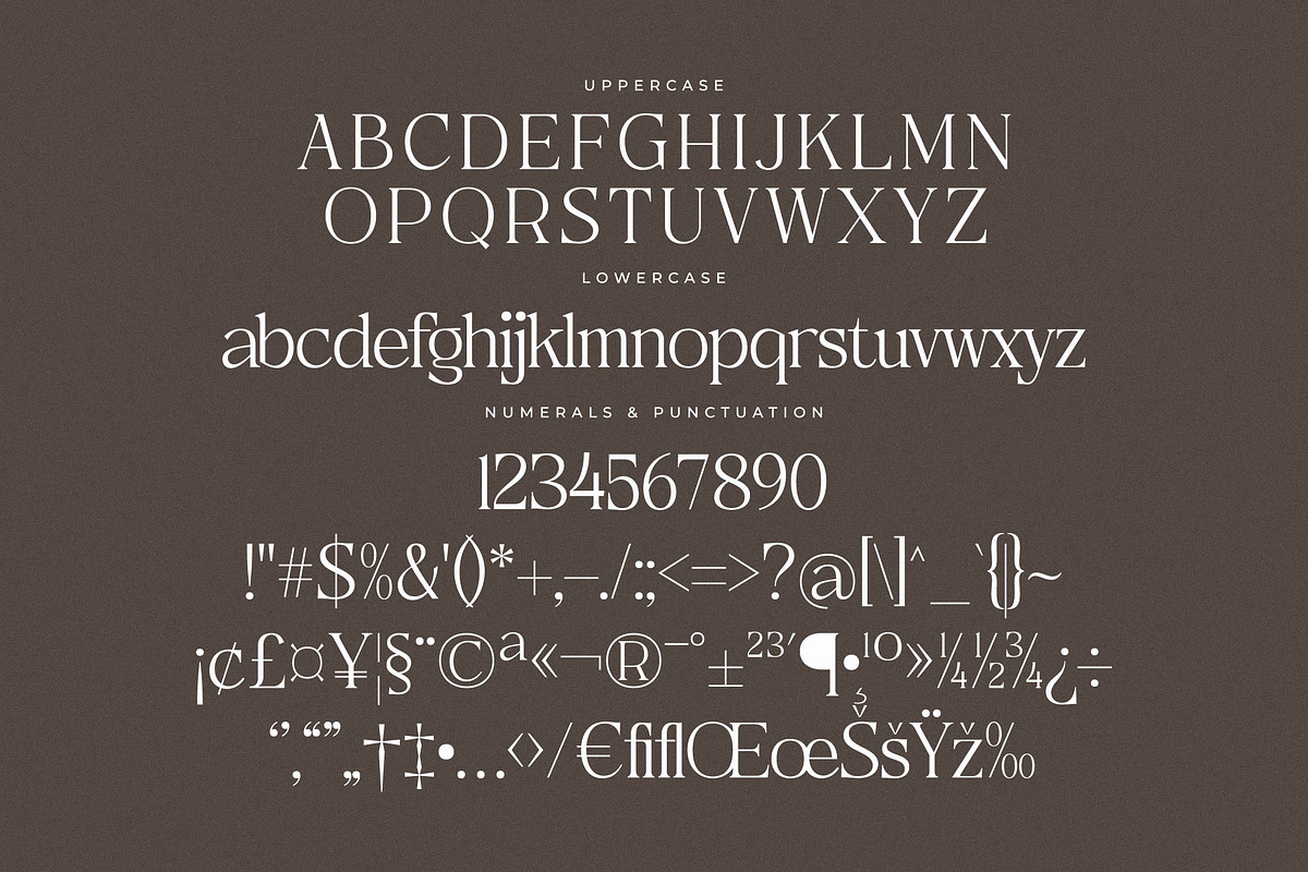 Metrolin Modern Serif Font, a Serif Font by Storytype Studio (Photo 13 of 15)