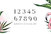 Rogain - Modern Serif, a Serif Font by LoneArmy (Thumbnail 11 of 12)
