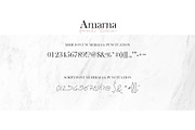 Amarna Font Duo, a Serif Font by Design 265 (Thumbnail 11 of 14)