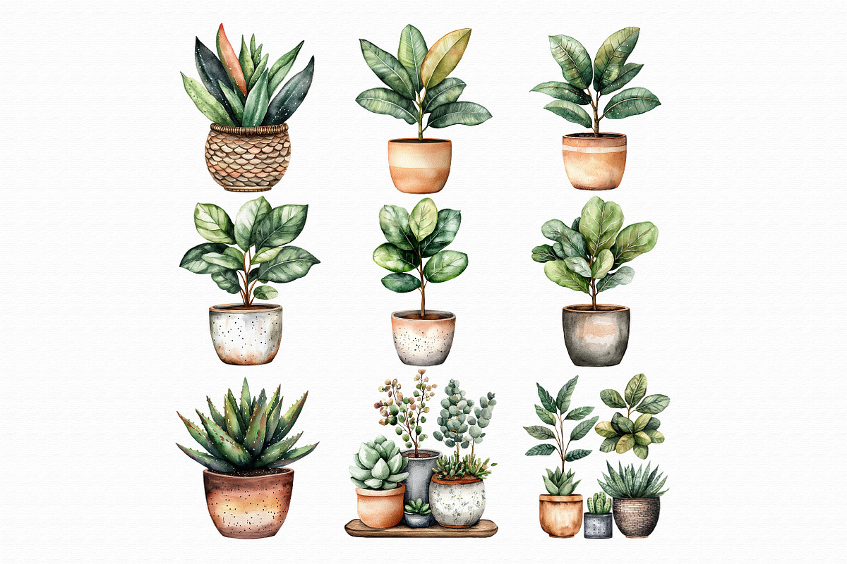 Watercolor Home Plants Clipart, an Illustration by Libby Wishes (Photo 2 of 4)